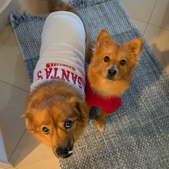 Santa's Favorite Dog Sweater - White and Red - Picture 2 of 4